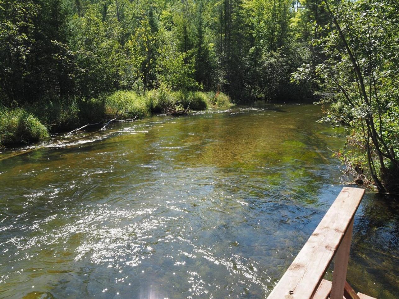 Sleeping Bear Riverside Cabins - Cabin #1 Honor Extérieur photo